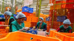 BigBasket Ground Operations Jobs Warehouse, Packing, Sorting, and Loading Roles Explained